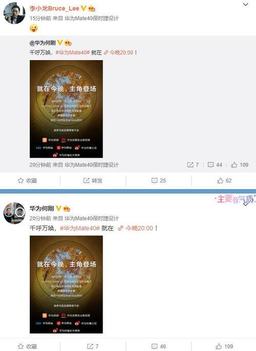 揭秘爆料类视频大全最新,最新热门视频大全深度解析